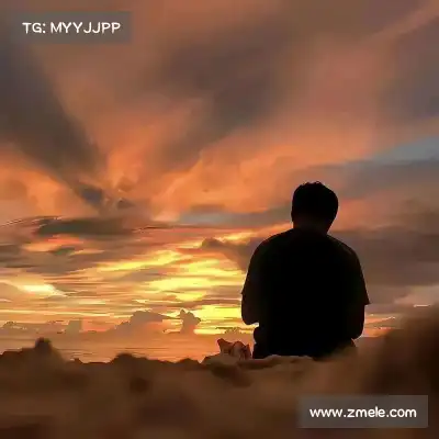赖晨舒